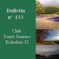 Bulletin n° 133