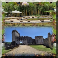 Sortie jardins Latour Marliac et château de Bonaguil 5 juin 2024